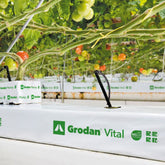 Grodan VITAL NG2.0 - 1000x150x75 mm, matt, BOX 16 pieces